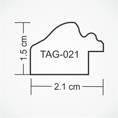 tag-021-profile