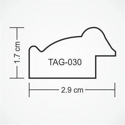 tag-030-profile