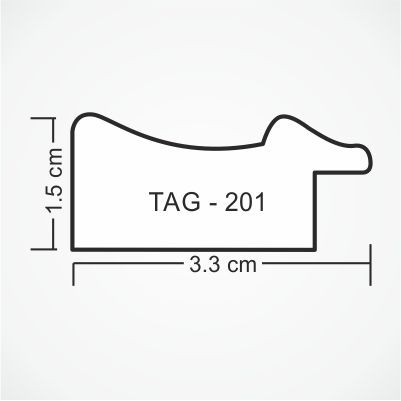 tag-201-profile