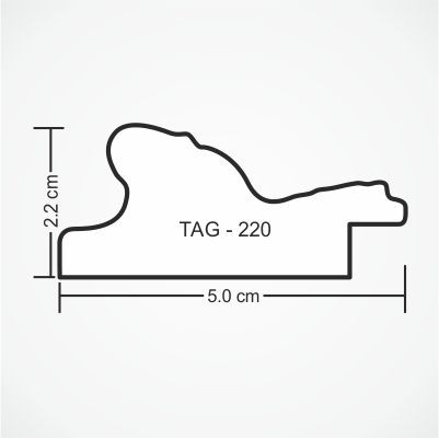 tag-220-profile