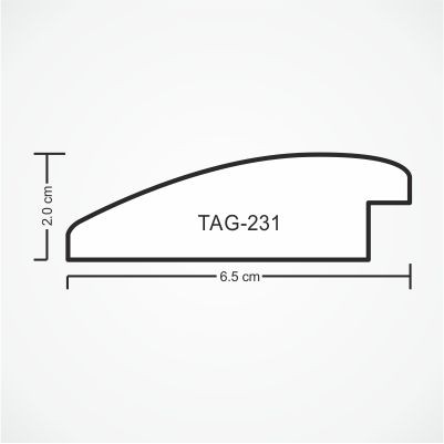 tag-231-profile