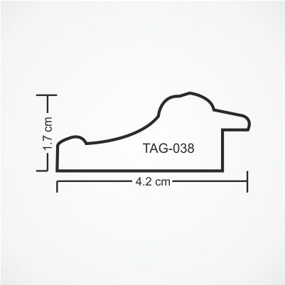 tag-038-profile