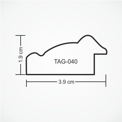 tag-040-profile