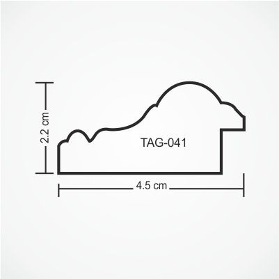 tag-041-profile