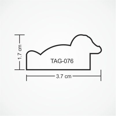tag-076-profile