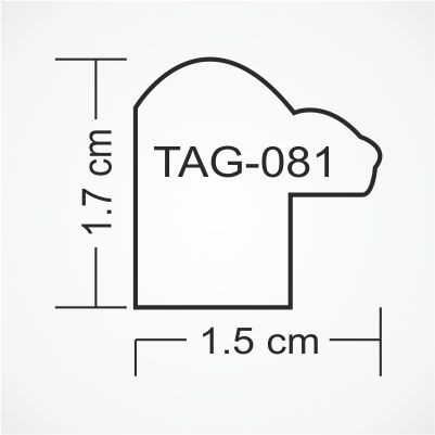 tag-081-profile