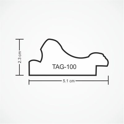 tag-100-profile